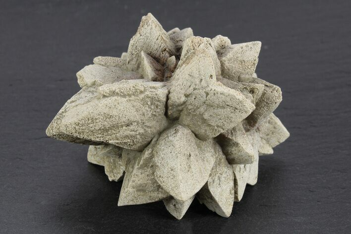 Stellate Glendonite (Calcite Pseudomorph) Cluster - Russia #247227